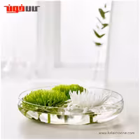 ظرف کریستال ایکیا مدل BERÄKNA