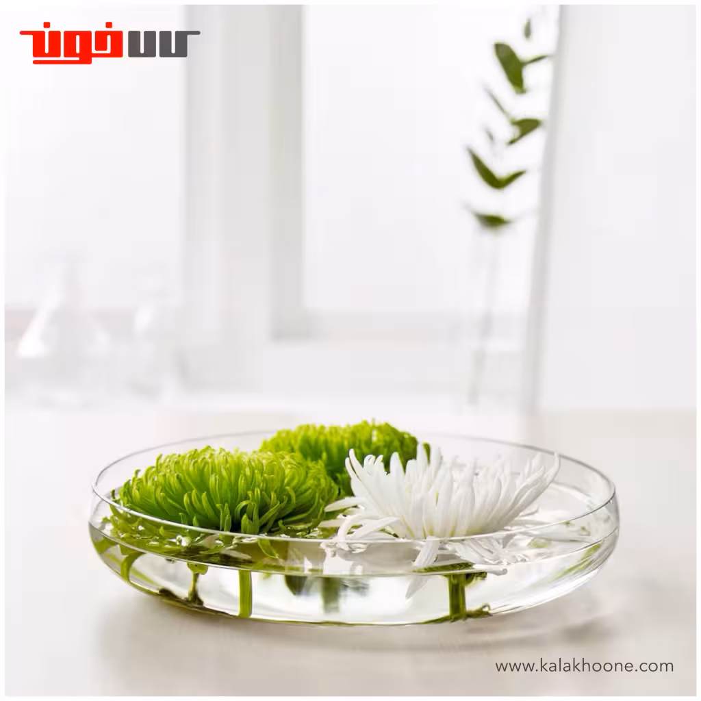 ظرف کریستال ایکیا مدل BERÄKNA