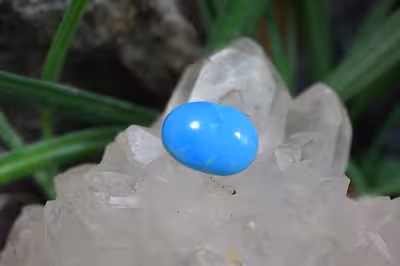 فیروزه امریکایی