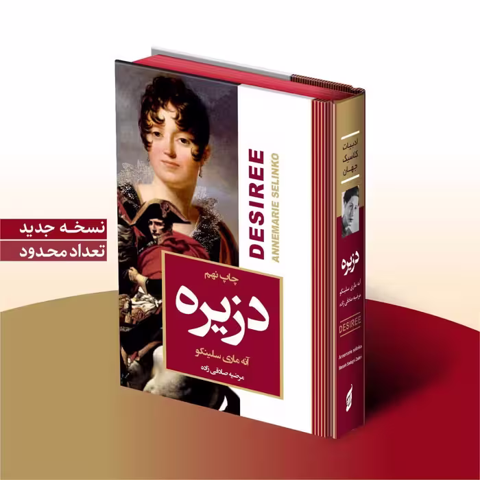 کتاب دزیره اثر آنه ماری سلینکو انتشارات آتیسا جلد گالینگور