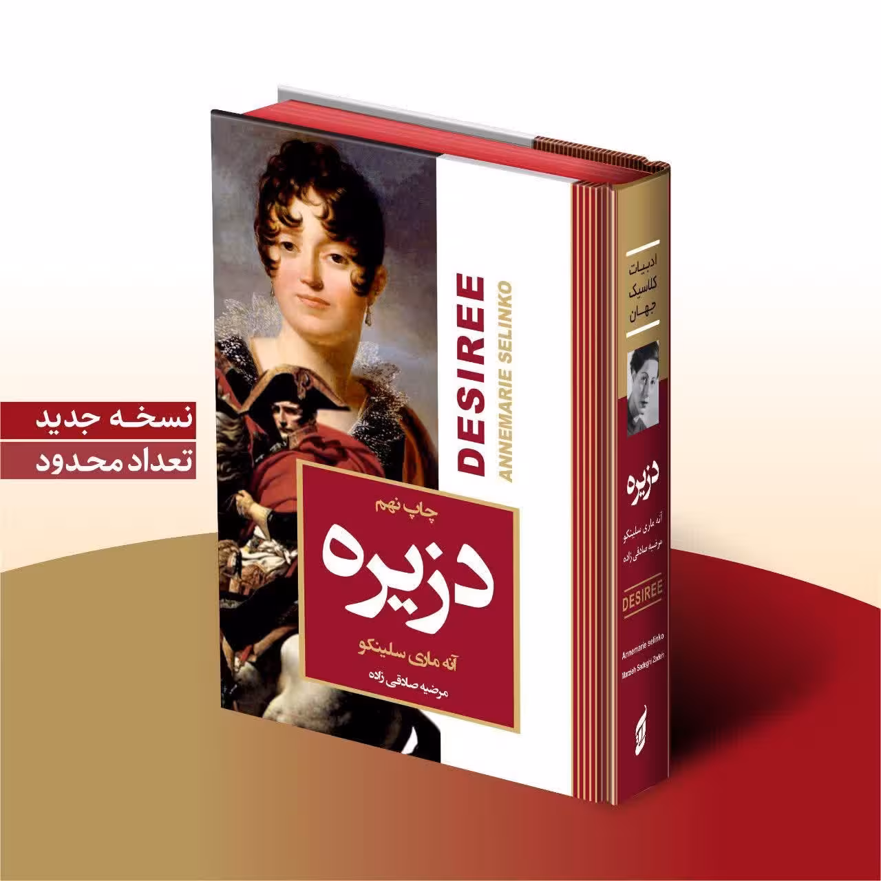 کتاب دزیره اثر آنه ماری سلینکو انتشارات آتیسا جلد گالینگور