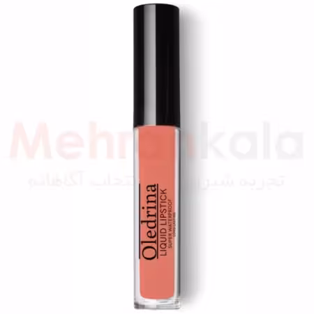 رژ لب مایع الدرینا مدل Super Waterproof شماره 609