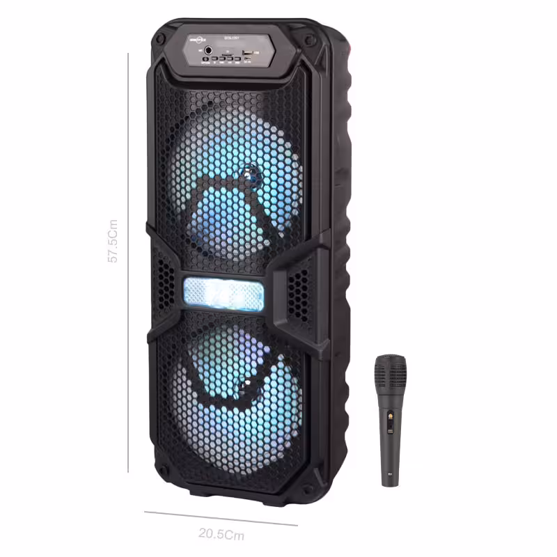 اسپیکر چمدانی بی سیم قابل حمل گریت نایس مدل GTS-1701 همراه با میکروفون