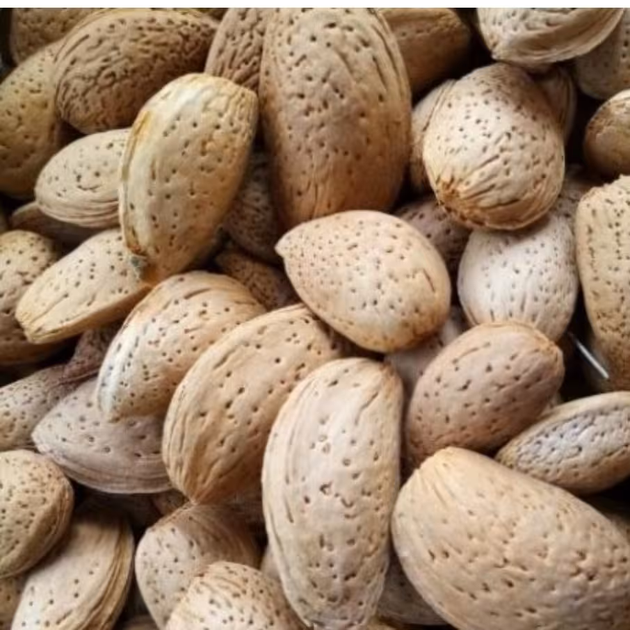 بادام سنگی دو کیلویی