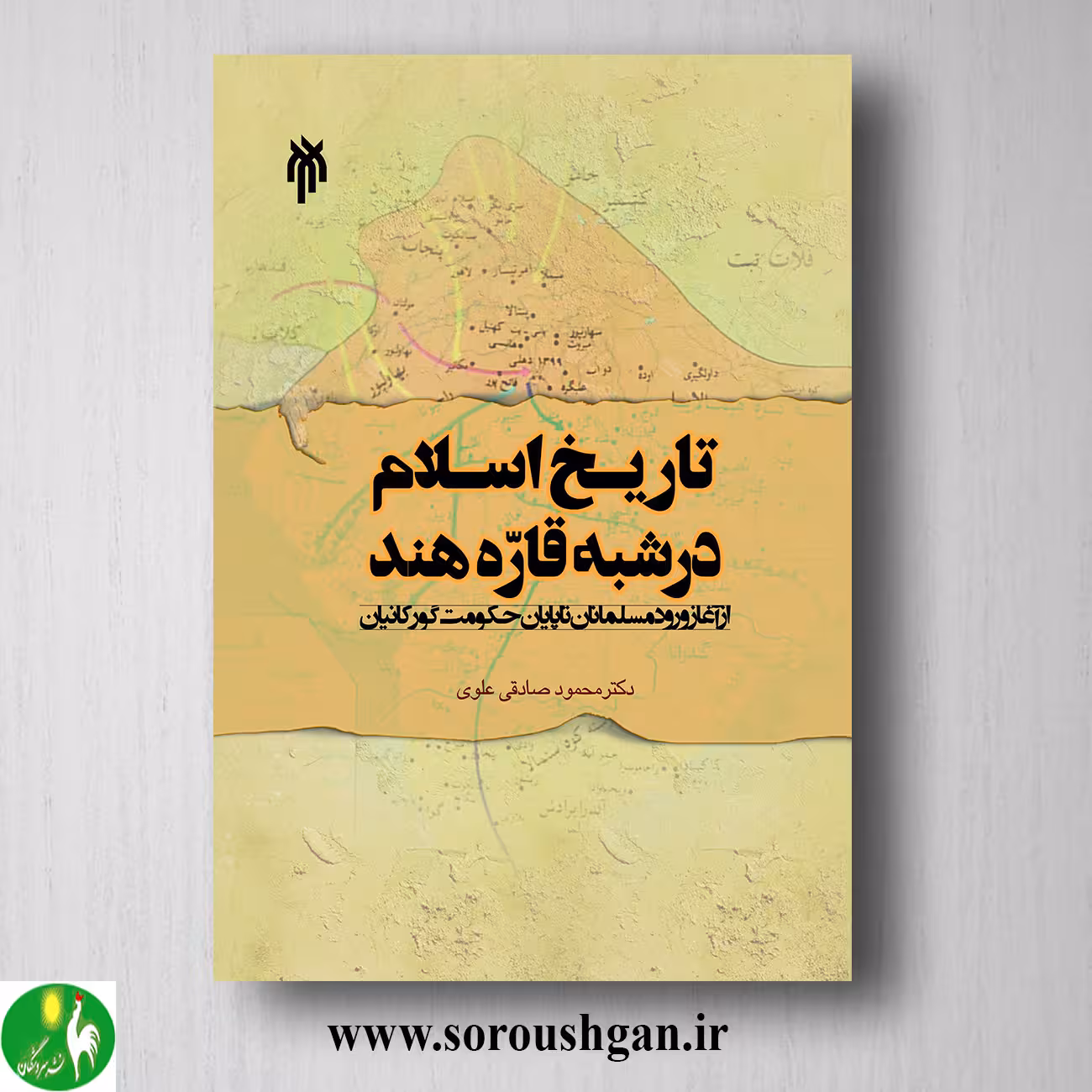 کتاب تاریخ اسلام در شبه قاره هند اثر محمود صادقی علوی