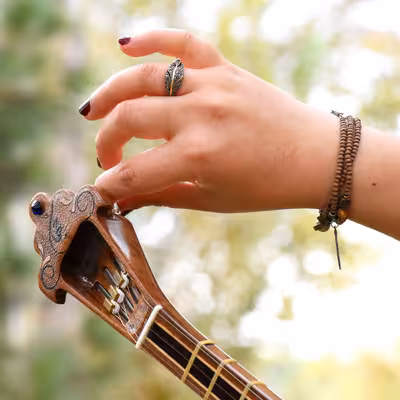 سه تار ایران ساز مدل جهان