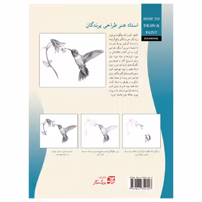 کتاب طراحی پرندگان آموزش گام به گام طراحی از انواع پرندگان شگفتانگیز اثر ویلیام اف. پاول انتشارات برگ نگار
