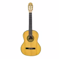 گیتار کلاسیک بست فان 160