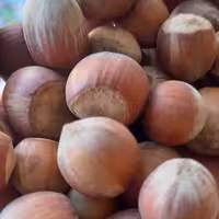 فندق الموت ارگانیک و سالم یک کیلویی