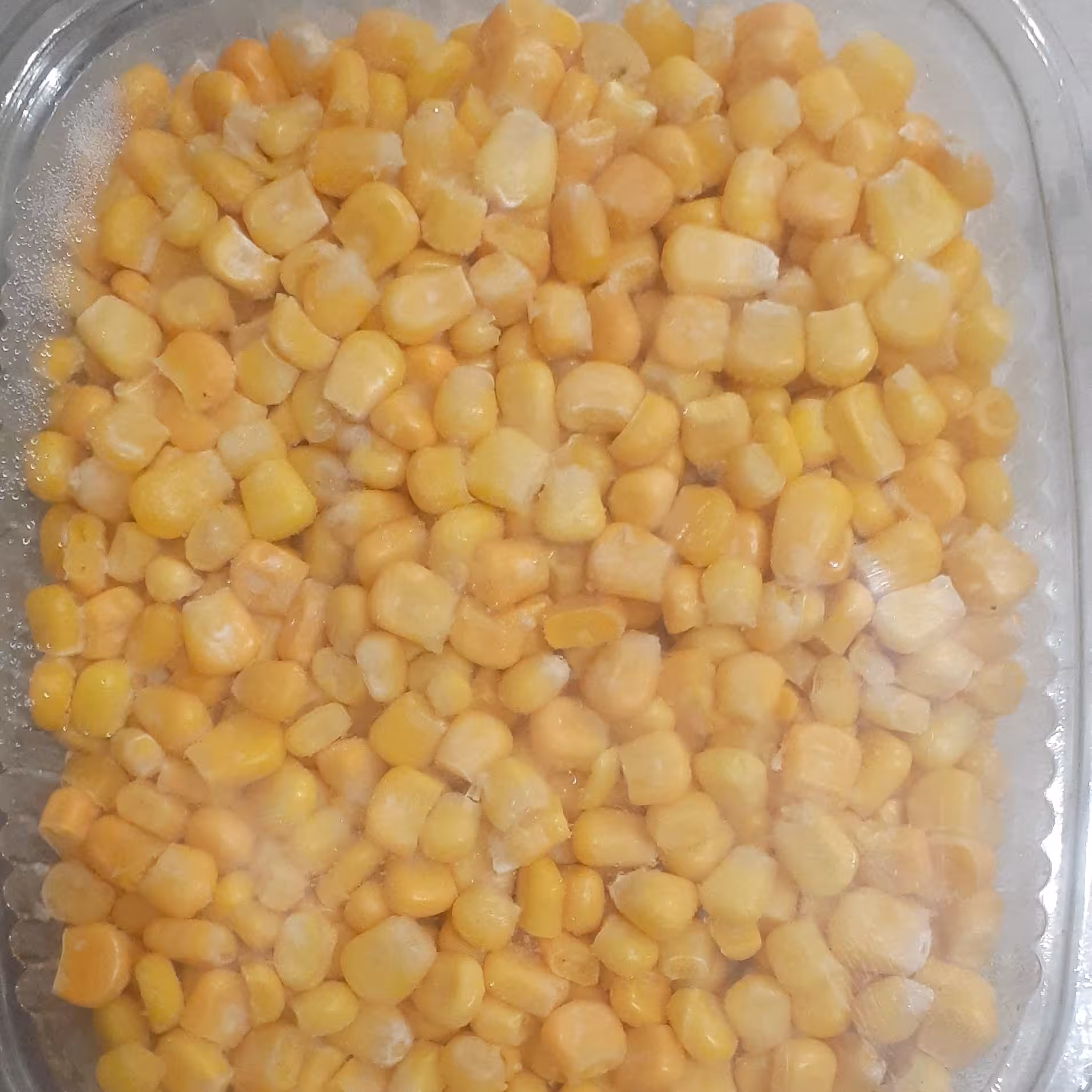 ذرت آماده
