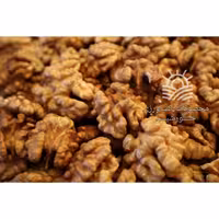 مغز گردو پرچرب اعلاء ایرانی (500 گرمی)