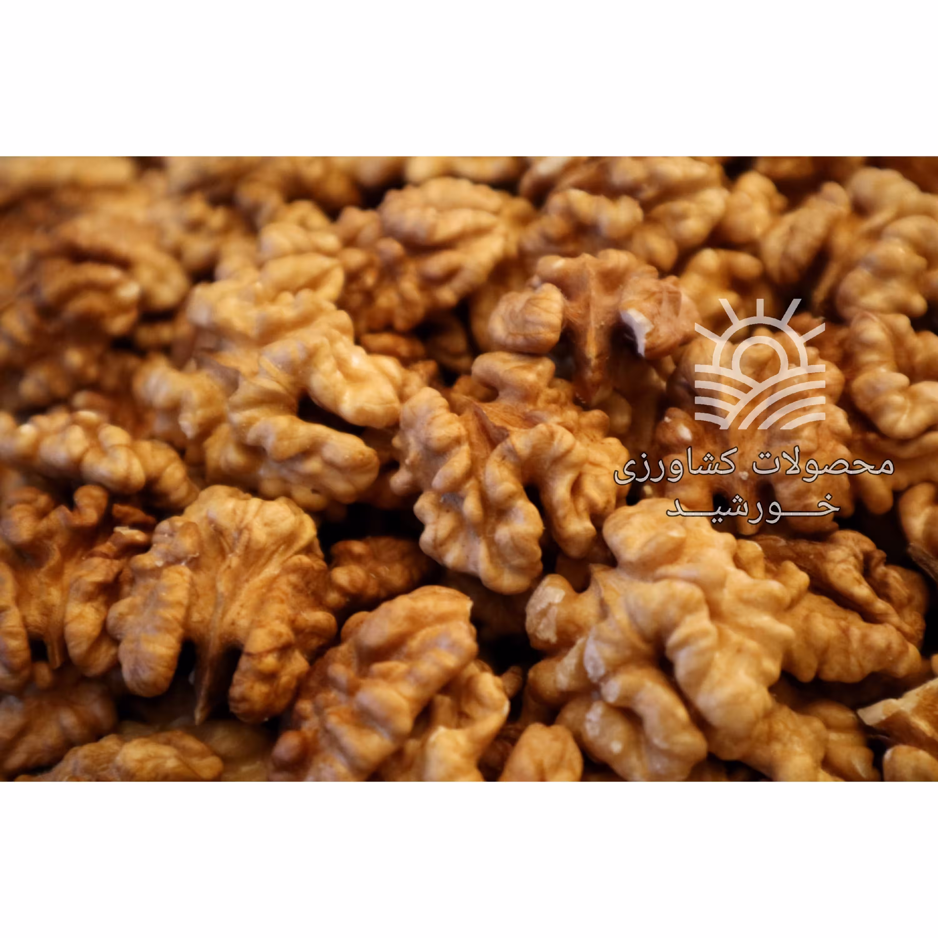 مغز گردو پرچرب اعلاء ایرانی (500 گرمی)