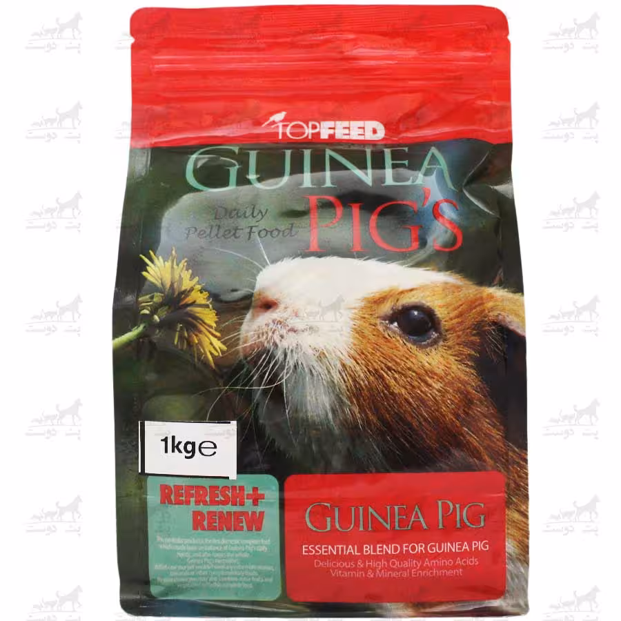 پلت خوکچه هندی برند تاپ فید