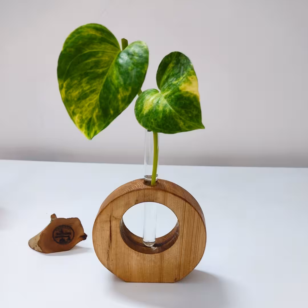 گلدان چوبی طرح دایره