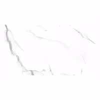 سرامیک راک مدل استاتوریو وناتو وایت پولیش 60×120