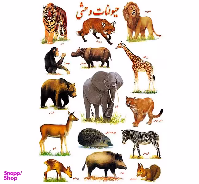 برچسب آموزشی حیوانات وحشی