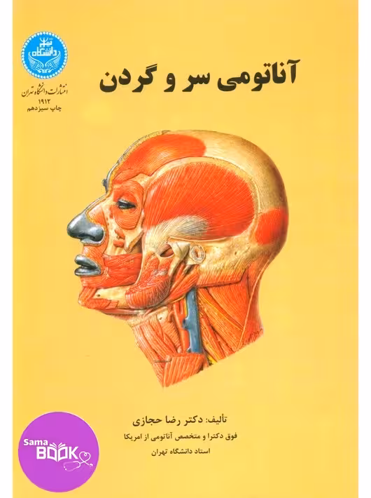 آناتومی سر و گردن حجازی