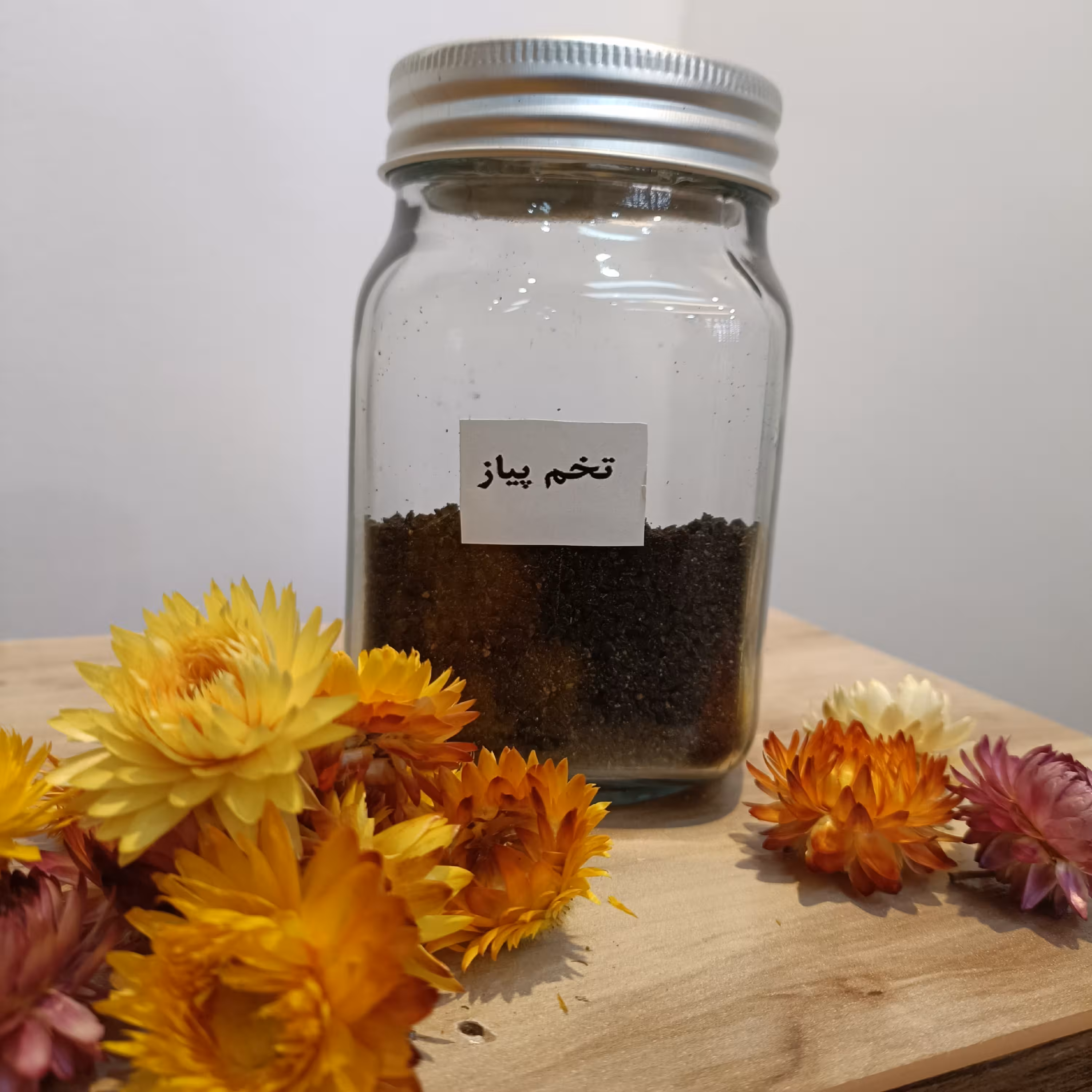 بذر پیاز 100 گرمی