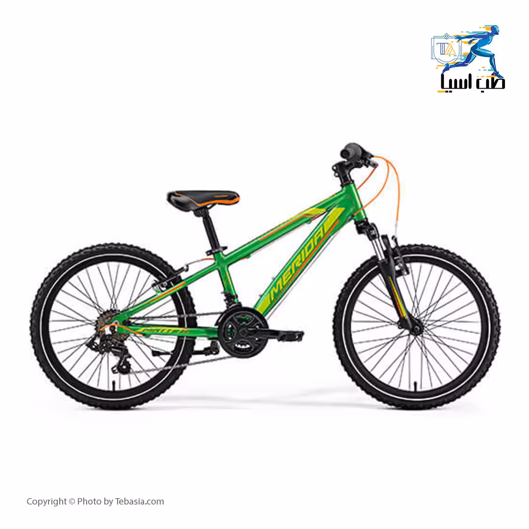 دوچرخه کودکان مریدا مدل Matts J20 Race سایز 20