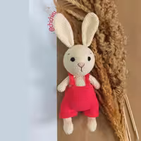 خرگوش خِپِل