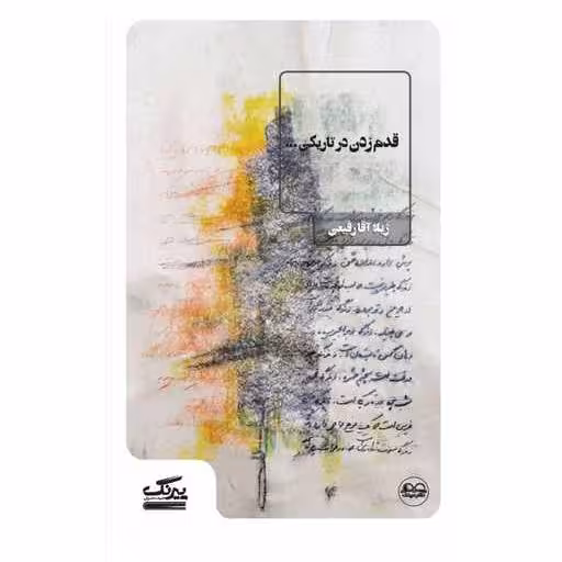کتاب قدم زدن در تاریکی اثر ژیلا آقا رفیعی