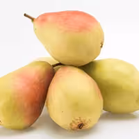 نهال گلابی اسپادانا