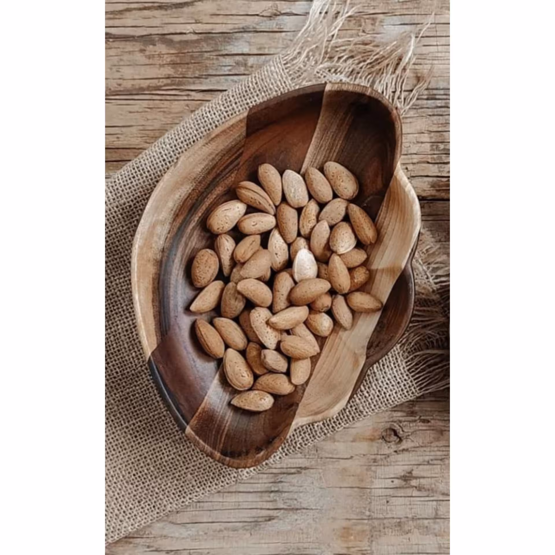 شکلات خوری و اجیل خوری طرح صدف سایز 2