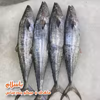 ماهی شیر سایز متوسط تازه( 1 کیلو گرم ) 