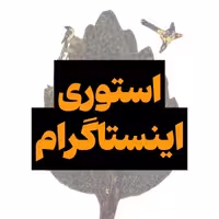 استوری اینستاگرام
