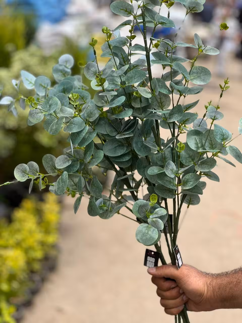 برگ اکالیپتوس مصنوعی لمسی