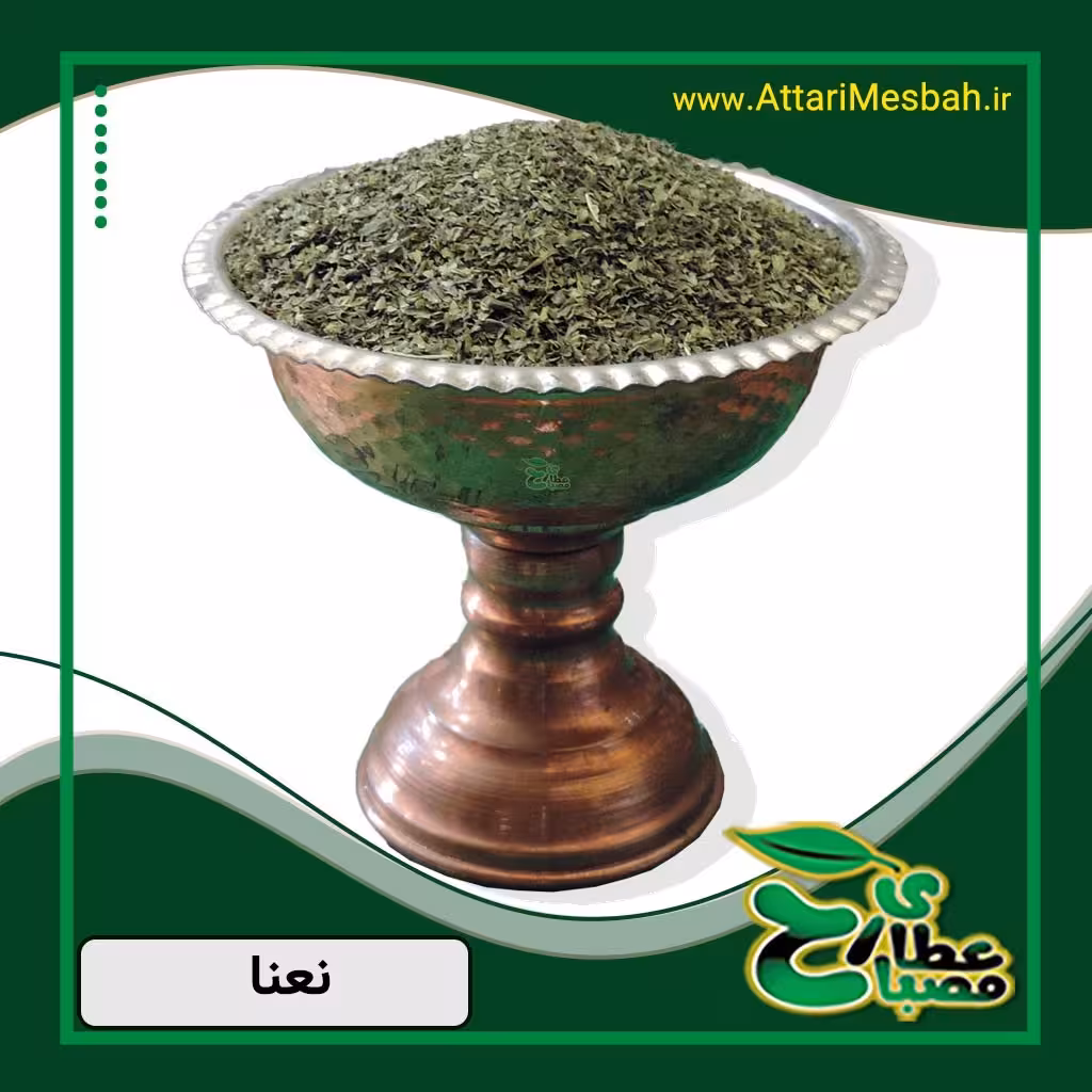 نعنا خشک 100 گرمی