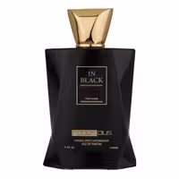 ادو پرفیوم مردانه رودیر پلاس مدل In Black حجم 100 میلی لیتر