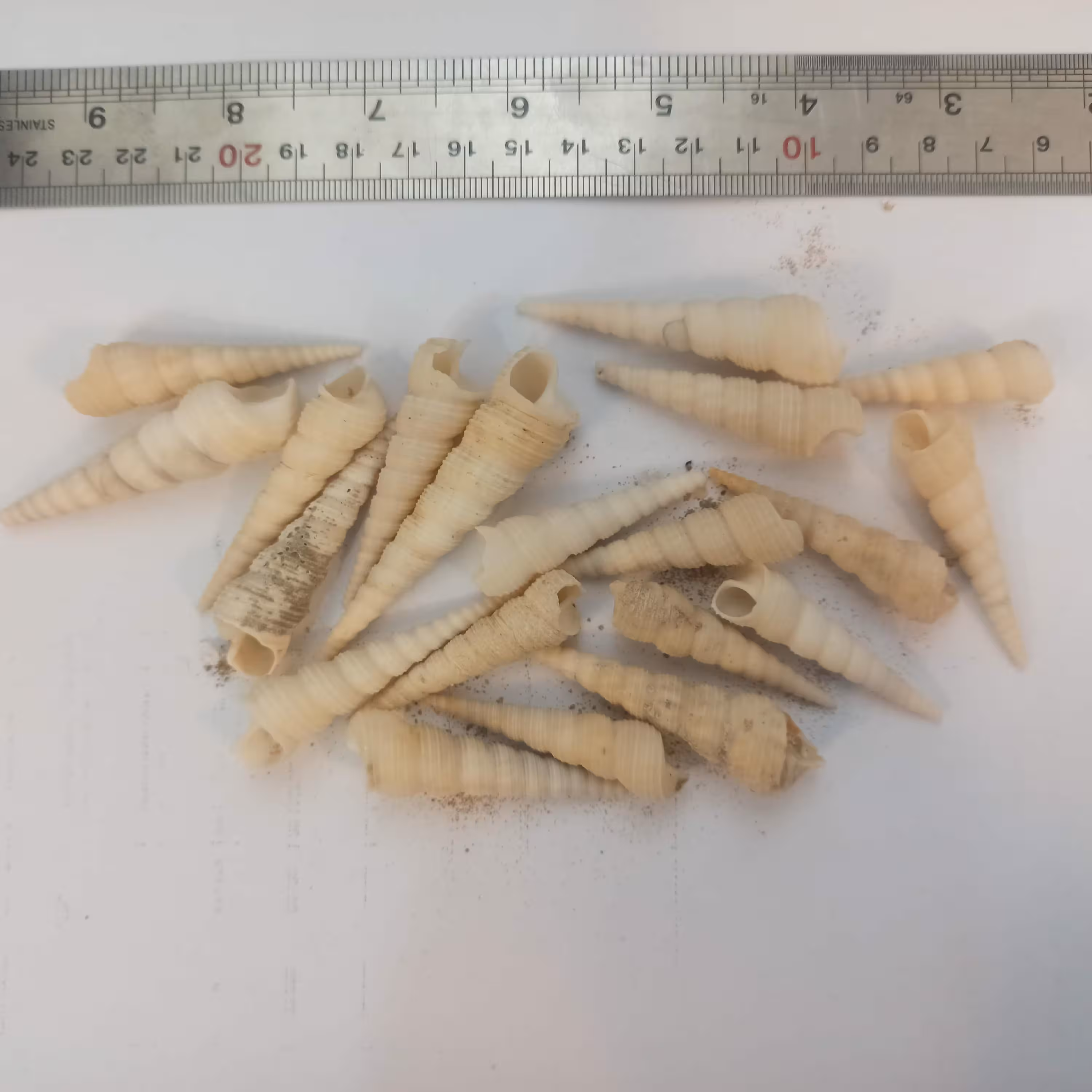 صدف بسته بندی کد 5