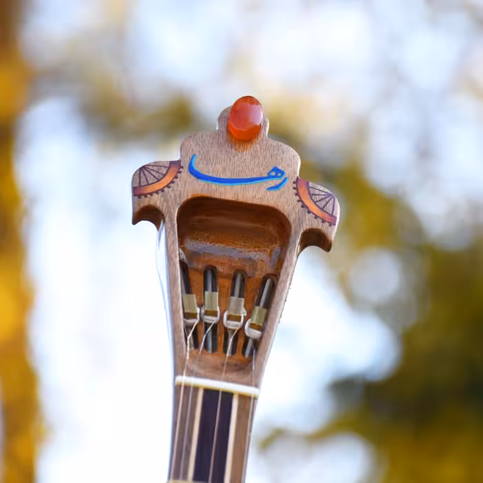 سه تار ایران ساز مدل رها