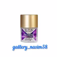 پرایمر وزیرساز