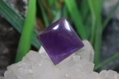 امتیست دامله(کاپوشی)