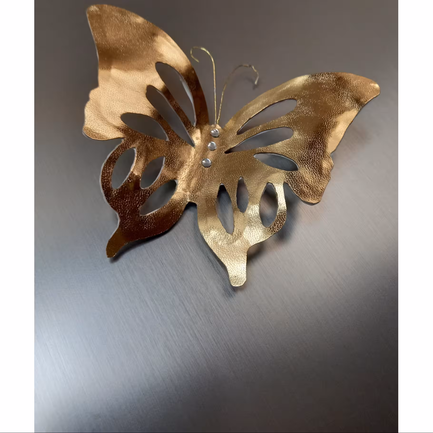 پروانه چرمی