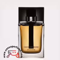 عطر ادکلن دیور هوم اینتنس | dior homme intense