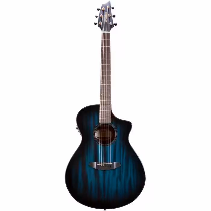 گیتار آکوستیک Breedlove Rainforest S Concert CE