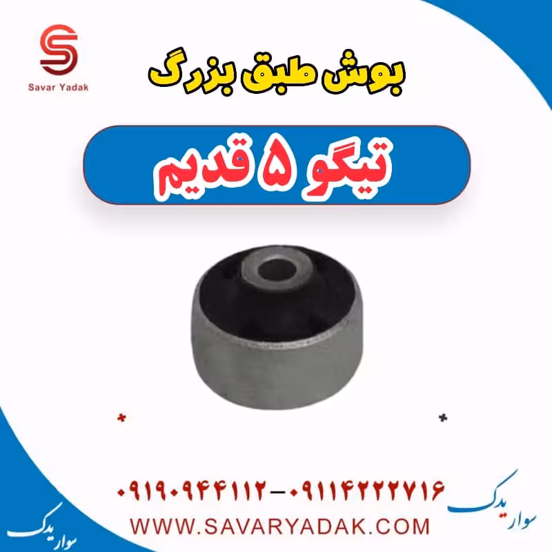 بوش طبق بزرگ تیگو پنج قدیم