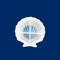 قالب رزین اپوکسی مدل زیر لیوانی لبه دار کد TY-300 | چاوه