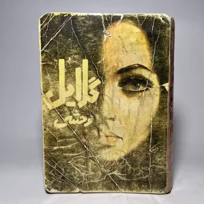 کتاب گلایل وحشی اثر ارونقی کرمانی