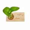 گلدان دکوری بلوط سبز مدل چوبی 4301169