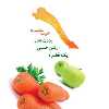 آبمیوه گیری فلر مدل PJ620