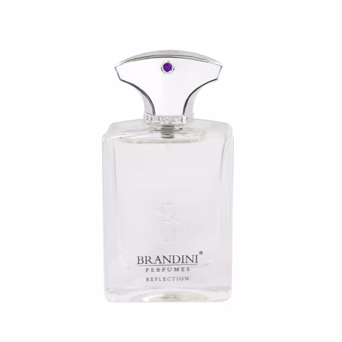 عطر جیبی مردانه برندینی مدل Reflection حجم 33 میلی لیتر				 				 				 				