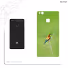 برچسب پوششی ماهوت مدل European bee-eater مناسب برای گوشی موبایل هوآوی P9 Lite