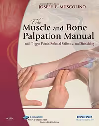 دانلود کتاب The Muscle and Bone Palpation Manual with Trigger Points زبان اصلی