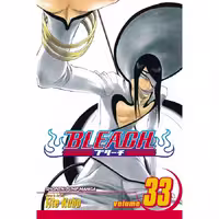 Bleach v33