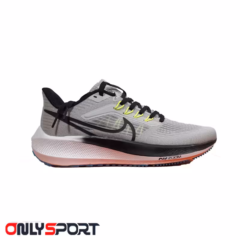 کفش پیاده روی و دویدن نایک Nike Air Zoom Pegasus 39 Silver/black