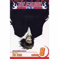 Bleach v08